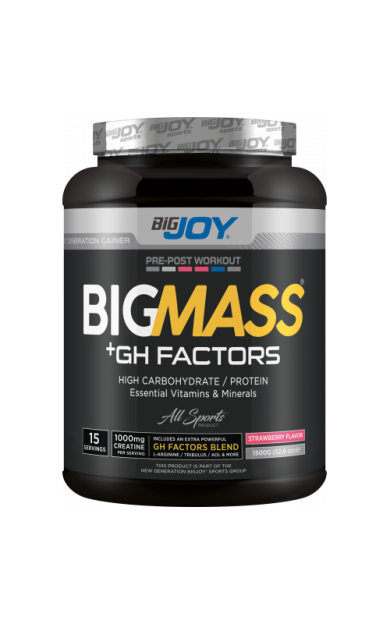 Bigjoy Sports BIGMASS Gainer GH FACTORS Çilek 1200g