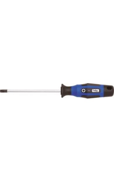 Cyclus Tools T25 Torx Tornavidası TX25x100 720530