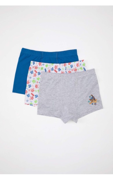 DeFactoFit Erkek Çocuk Paw Patrol 3'lü Boxer