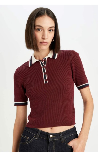 Bordo Regular Fit Düğmeli Polo Yaka Kısa Kollu Triko Kazak