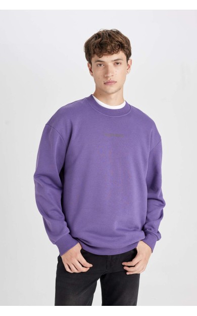 Boxy Fit Bisiklet Yaka Sweatshirt