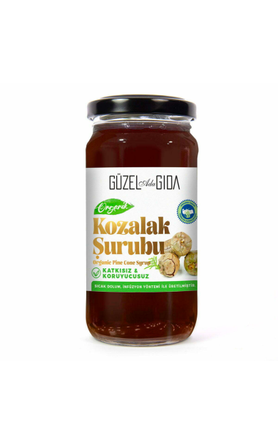 GÜZEL GIDA Organik Kozalak Şurubu 230 ml