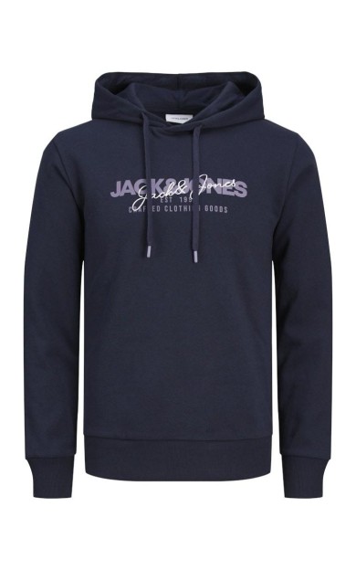 Jack Jones Alvıs Kapüşonlu Erkek Sweat 12256848