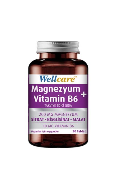 Wellcare Magnezyum + Vitamin B6 30 Tablet