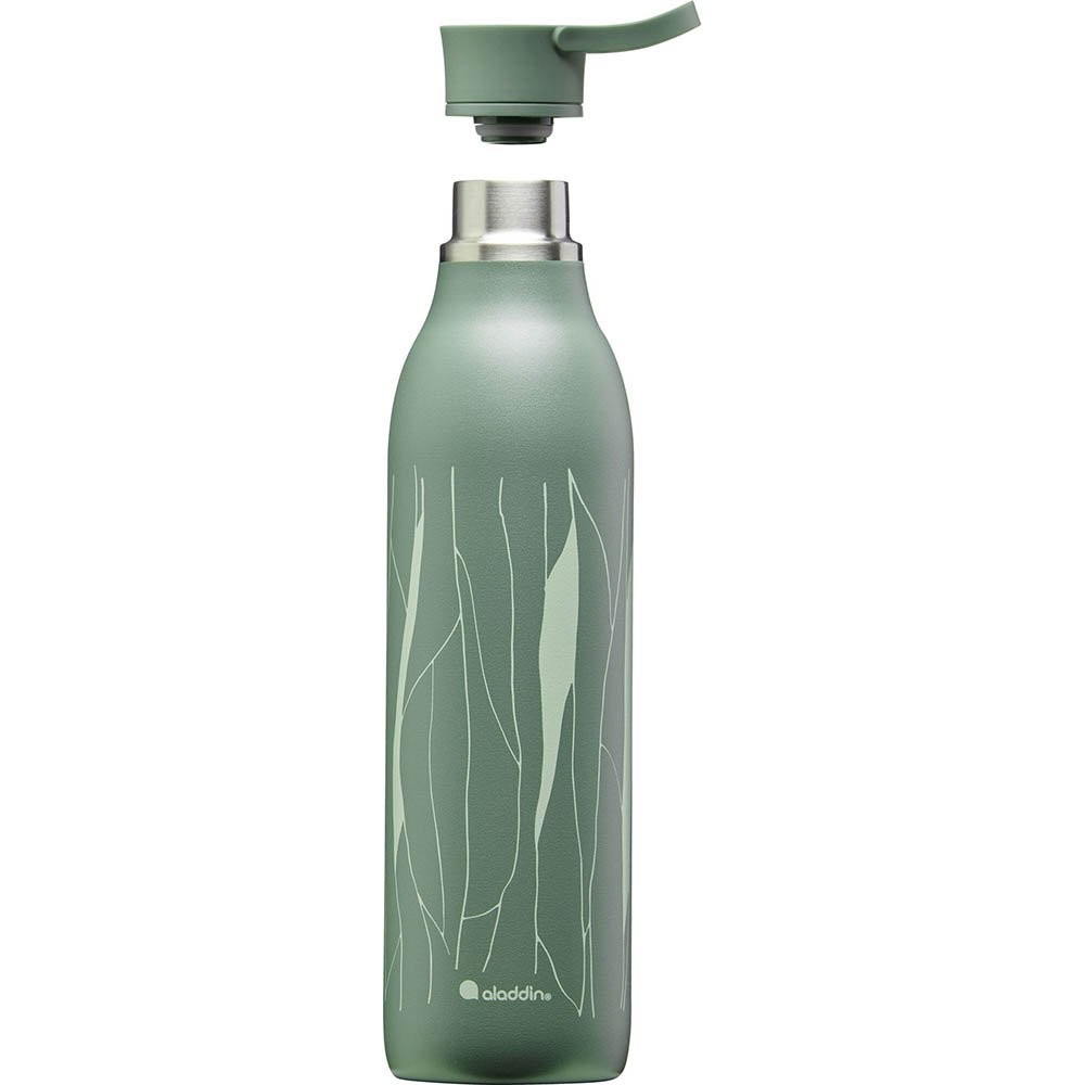 Aladdin CityLoop Thermavac Water Bottle